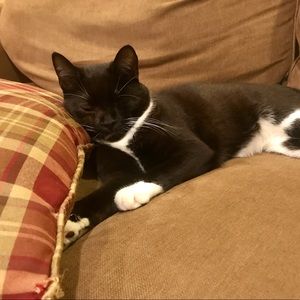 Meet your Posher, Tara